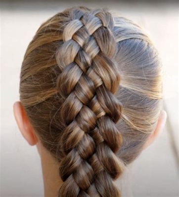 What Is a Plait Braid and Its Many Facets